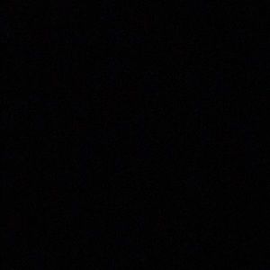 Meet your Posher, Max